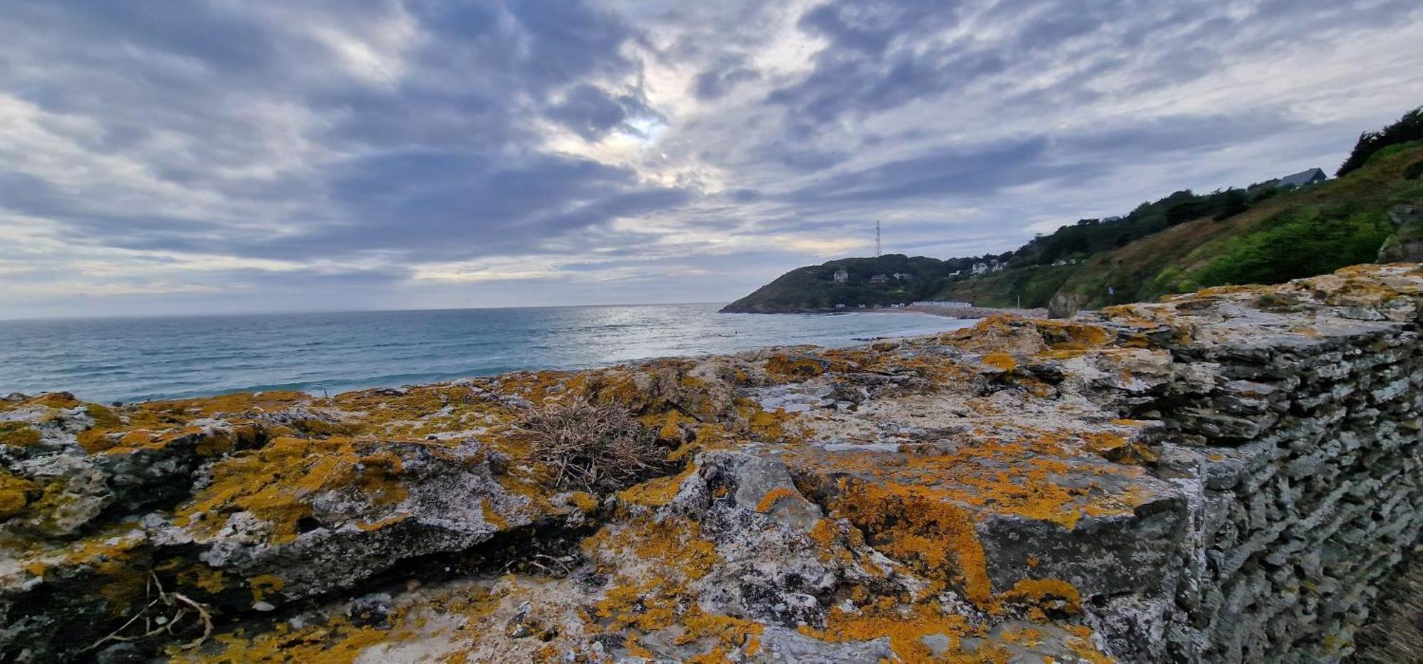 Gite 4 Personnes Avec Piscine Et Bain Nordique Proche Des Plages Du Debarquement Le Manoir  Buitenkant foto